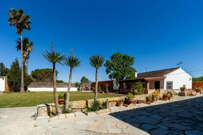 Casa Manolo