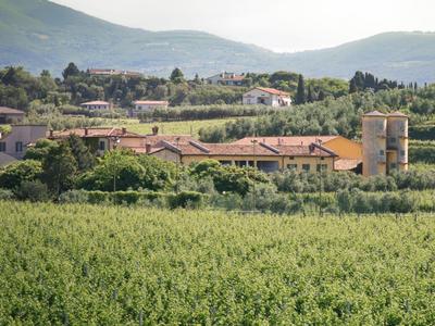 Wonderful Villa Botticelli