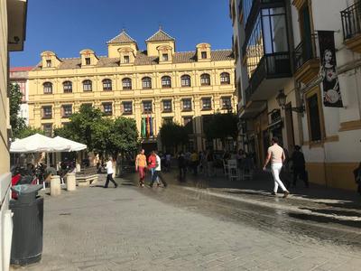 Deluxe Apartment in La Giralda