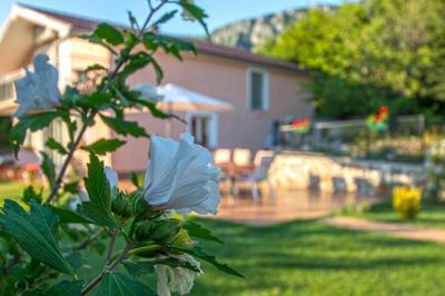 Villa Tereza