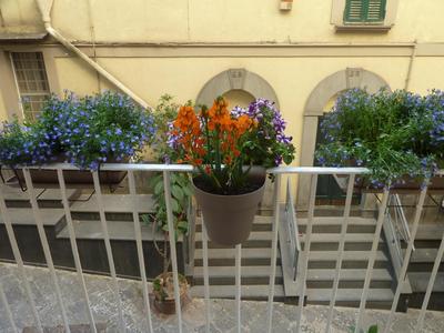 A' Casetta