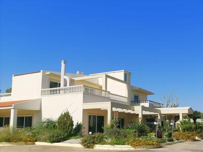 Louis Luxury Villa by living in blue