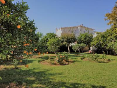 Luxury Garden Apartment Glyfada