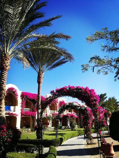 TUI MAGIC LIFE Kalawy