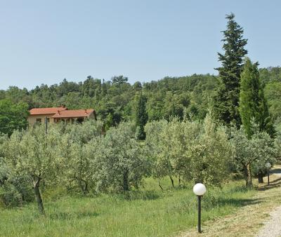 LA MAESTA'