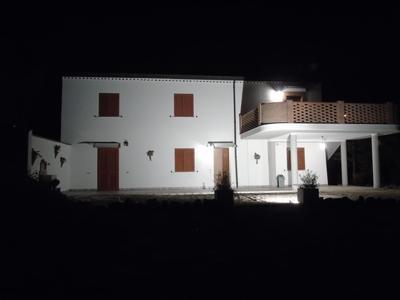 il pettirosso