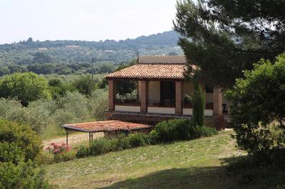 Caprifogli