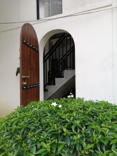 Ibis