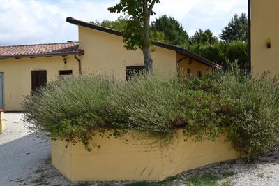 Agriturismo La Selva