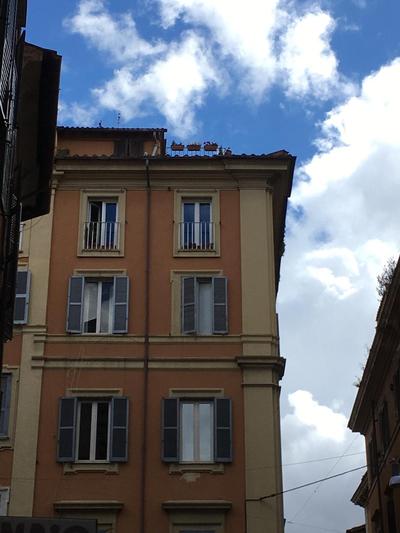 Stelletta 1a