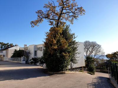 Apartment Kantrida-Near the Beach by Irundo