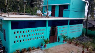 Mangrove Pitta - Bhitarkanika