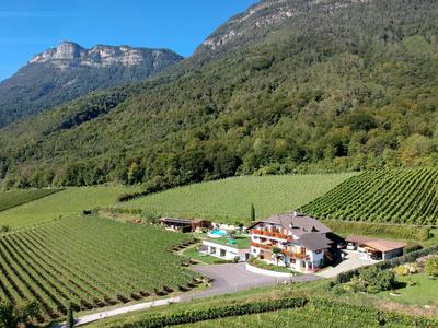 Wolkanhof Vineyard Apartments