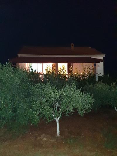 Apartments Elena