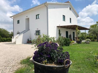 Casa Agricola Scorziello