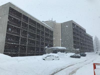 Aroma di Legno e Profumo di Neve