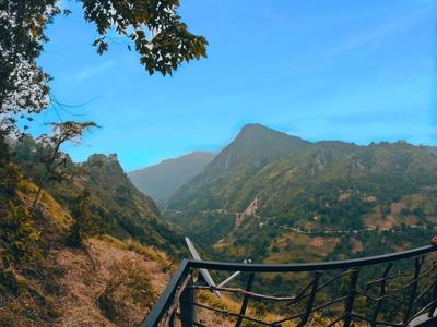 Ella Rock Mystery Guest