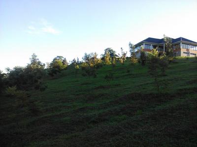 The Crested Crane Bwindi Hotel