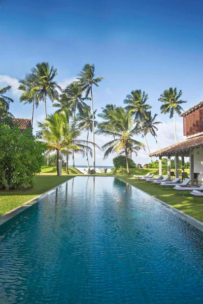 The Frangipani Tree by Edwards Collection - Thalpe