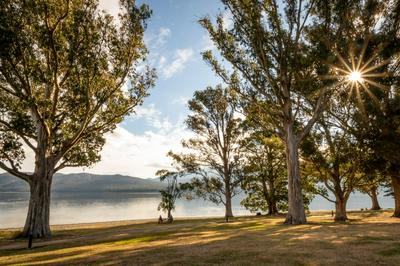 Hop, Skip and Jump to the Lake - Te Anau House