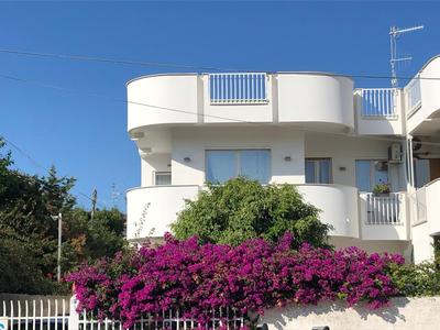 Near the beach