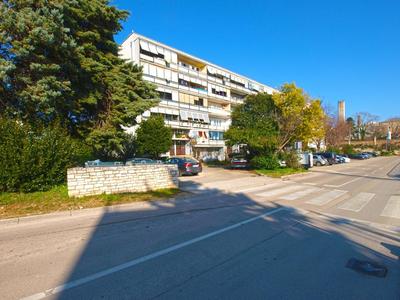 Apartment Momcilo 1995