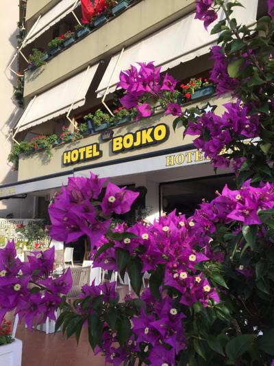 Hotel Bojko