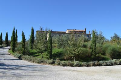 Holidays in apartment with swimming pool in Tuscany Siena