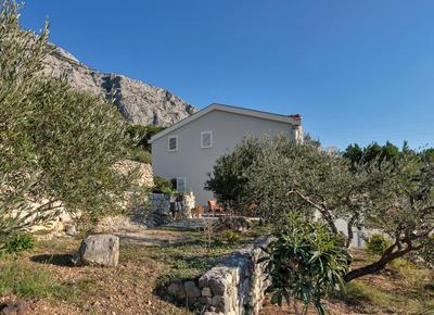 The Art of Mediterranean Living