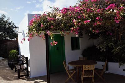 BUGANVILLA MOLINO
