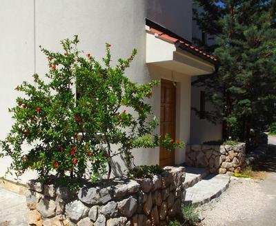 Apartmani Juliška