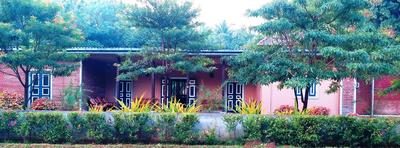 Honey Tree Polonnaruwa