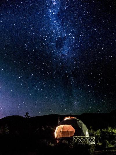 Huiro Lodge Domos y Avistamiento de Fauna Marina