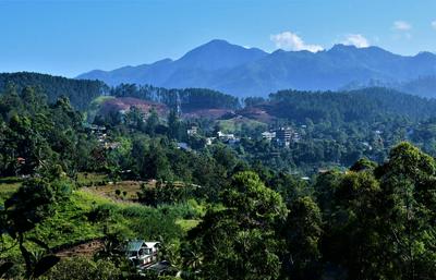 Rose Dale Guest Inn Ella