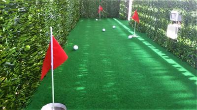 Elegant Vatican Metro & Golf Rome