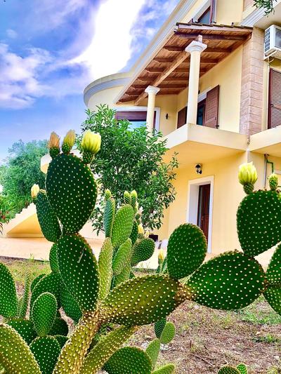 Armonia Corfu Luxury Apartment
