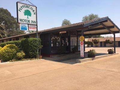 Peppercorn motor inn