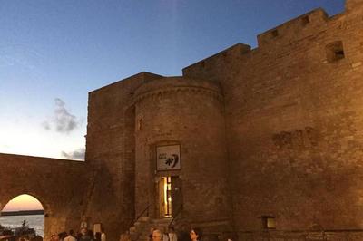 Historic Apartment in centre of city 100m to sea