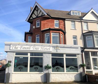 The Fossil Tree Hotel