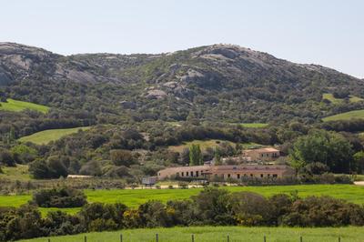 Agriturismo Lu Branu