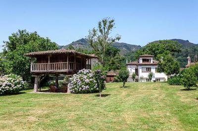 Vivienda Vacacional San Antonio