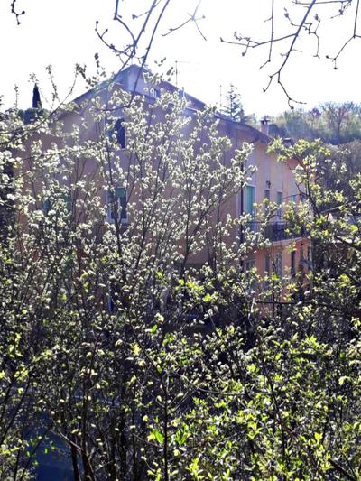 Le Giare House