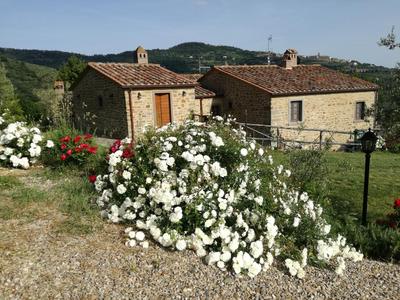 San Martino agli Ulivi