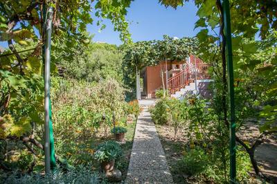 House next to the river Miro