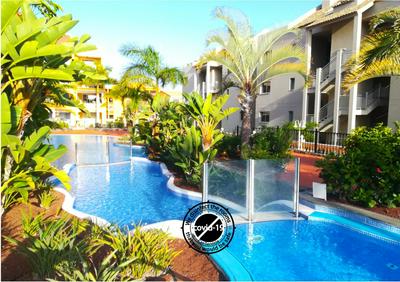 LANI house - stunning pool