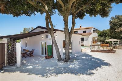 Sandy Bay Apartments - free mountainbike rental -