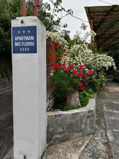 Apartment MIS Floura