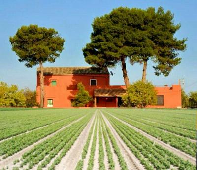 Spacious House in Marinella di Selinunte with Terrace