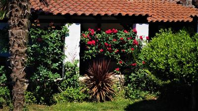 Apartments Garden