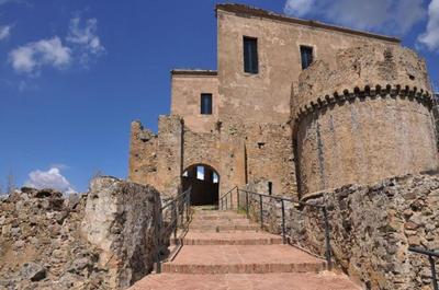 Sulle orme di Federico II